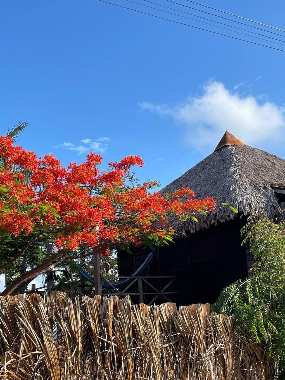 Atins Beach Chales Luaran gambar